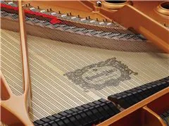 Cordes  piano Yamaha Premium